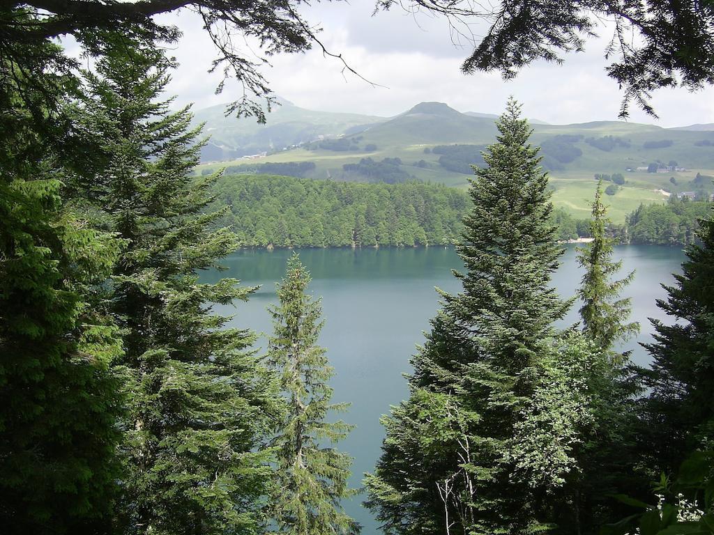 Aux Balcons Du Sancy Aparthotel Picherande Екстериор снимка