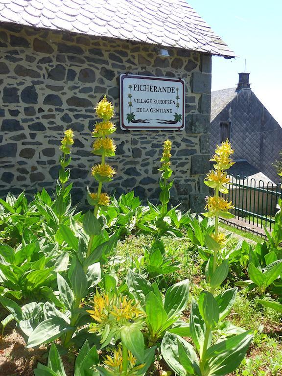 Aux Balcons Du Sancy Aparthotel Picherande Екстериор снимка